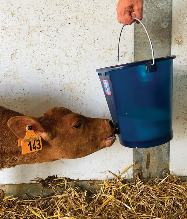 Ведро для пустышек CALF-BUDDY™ #1