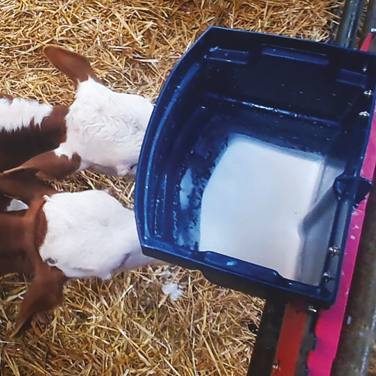 CALF-BUDDY™ #2 2 ниппельное ведро